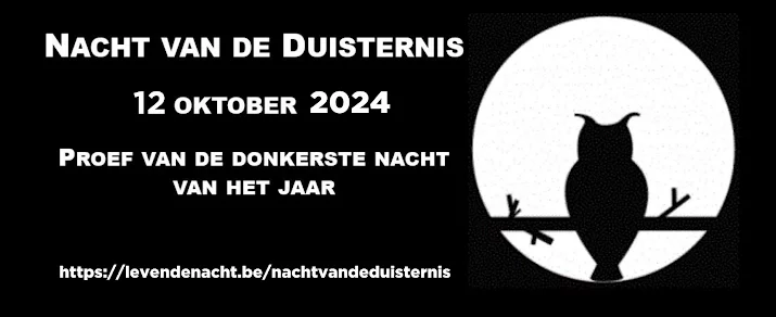 Logo NDD