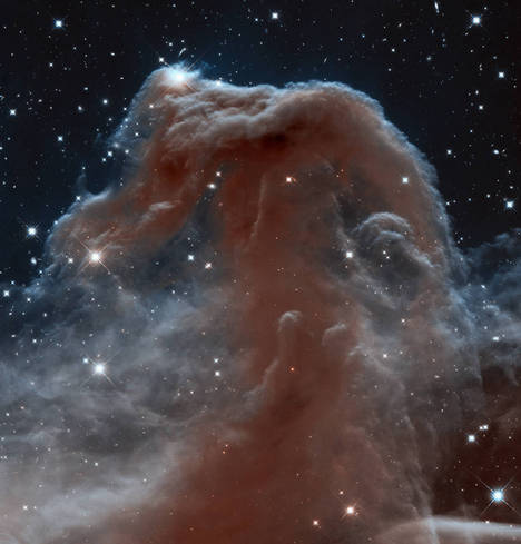 Hubble_horsehead_full.jpg
