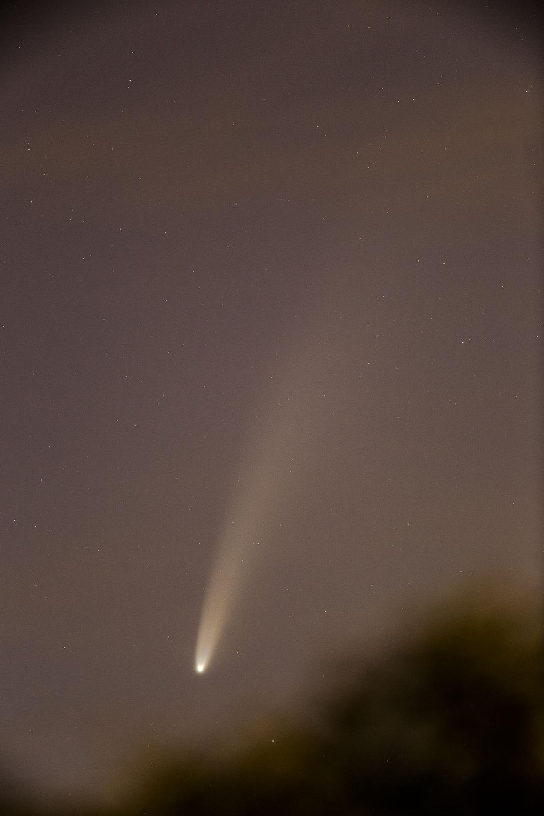 Detailbeeld komeet NEOWISE in juli 2020